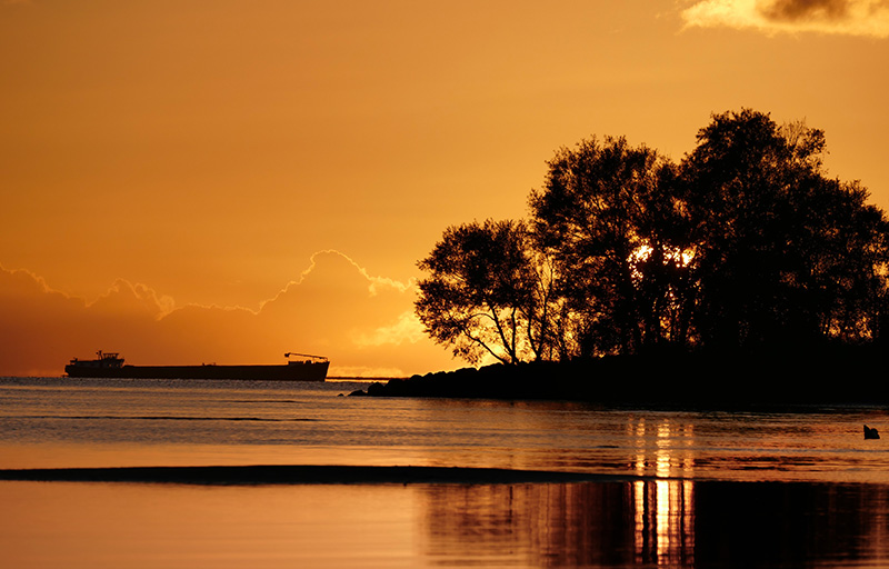 7. Schelte De Jong